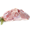 image unavailable